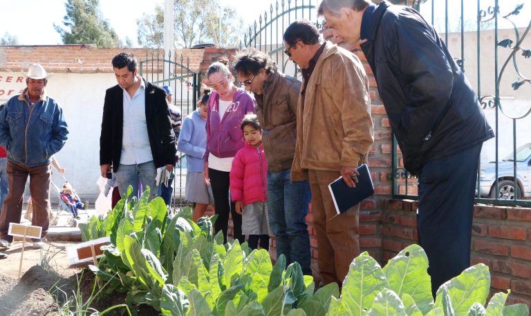Siembra de huertos familiares y comunitarios en el oriente de la ciudad capital