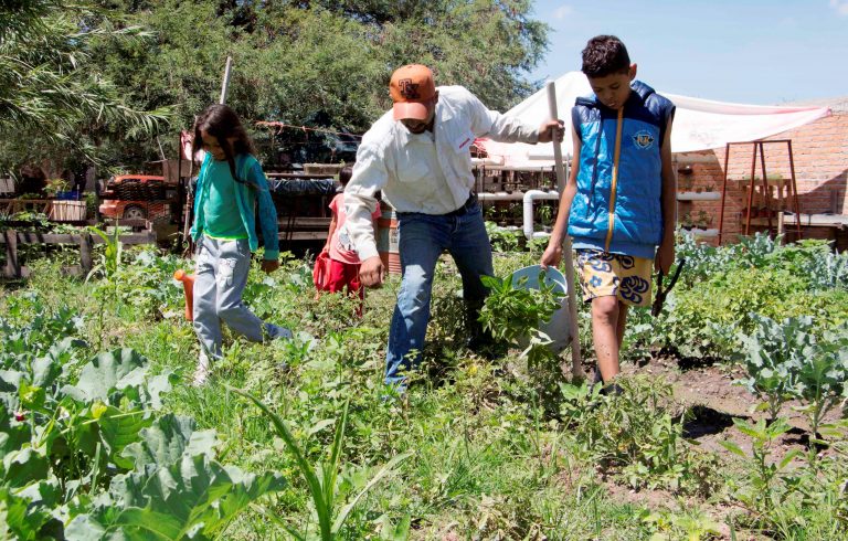 Programa de huertos familiares y comunitarios