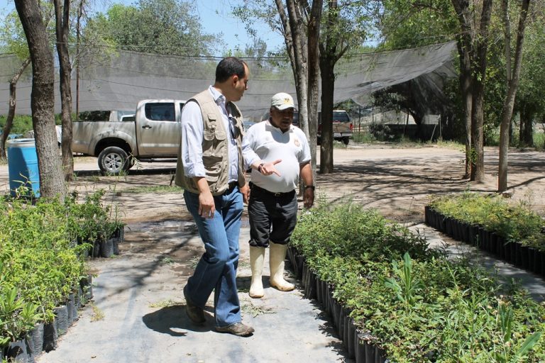Supervisan acciones de regeneración del Centro Reproductor de Árboles del Estado