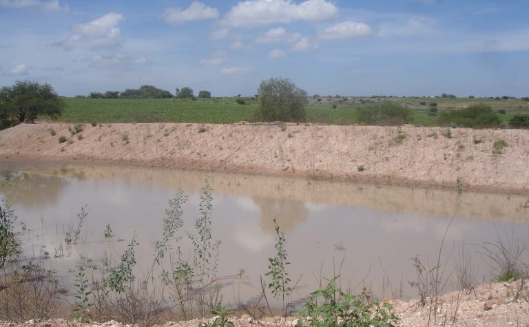 Captación de agua de lluvia fortalece actividades agropecuarias