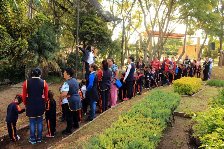 Jardín didáctico, apoyo para instituciones educativas