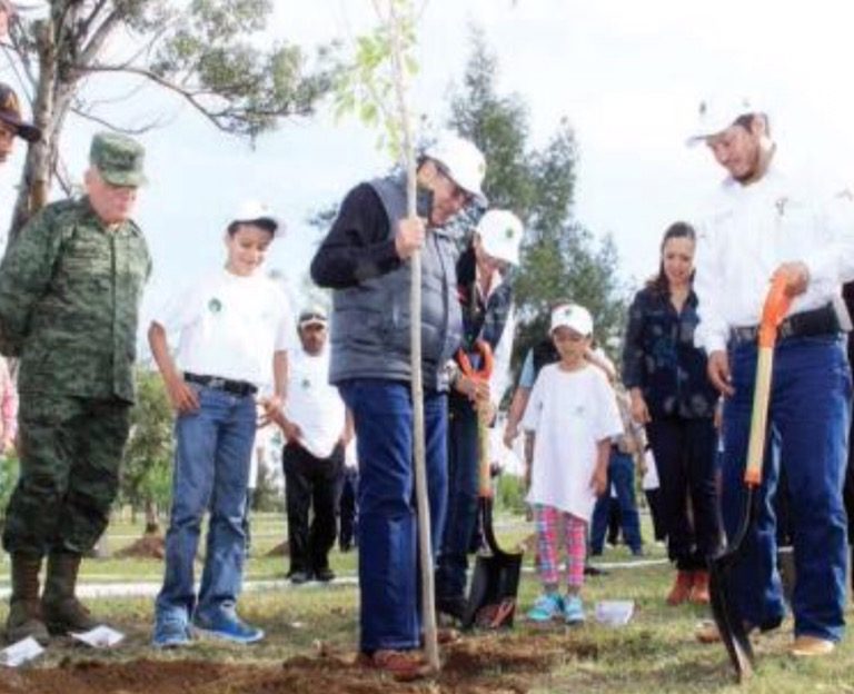 Informe de resultados en materia del medio ambiente