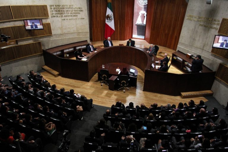Hace públicos el Tribunal Electoral dos proyectos de resolución 