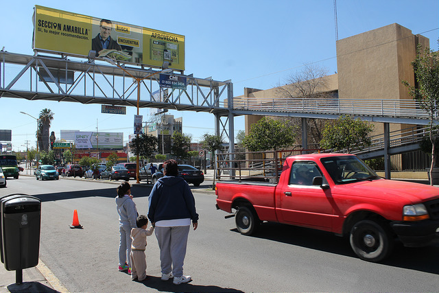 Culpa director de Tránsito de la mayoría de los atropellamientos a los peatones