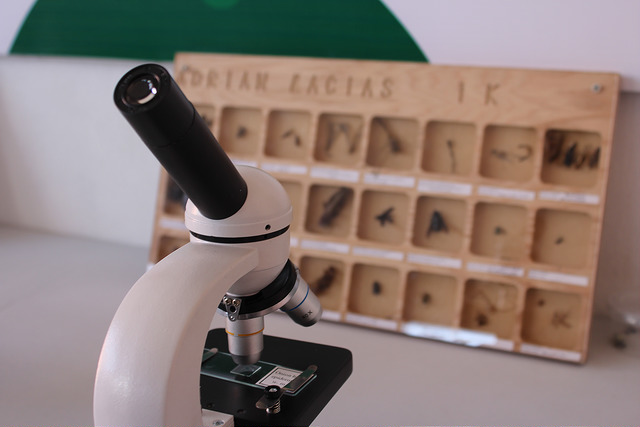 Pegará recorte a ciencia y tecnología en los estados y a la innovación