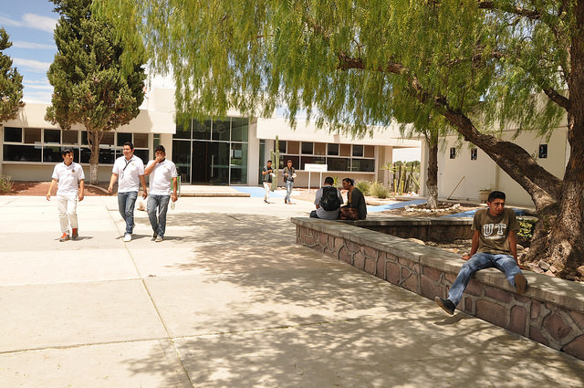 Pobre desempeño académico de Aguascalientes en educación media superior