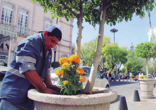 Espacios públicos fueron adornados con cempasúchil