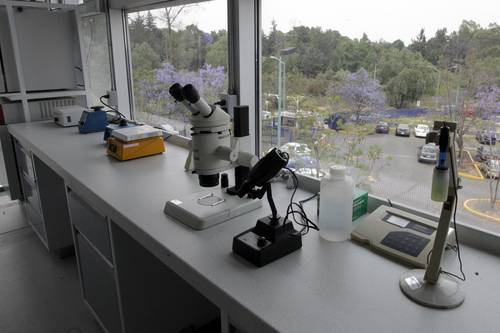 Recorte a la ciencia afecta a empresas