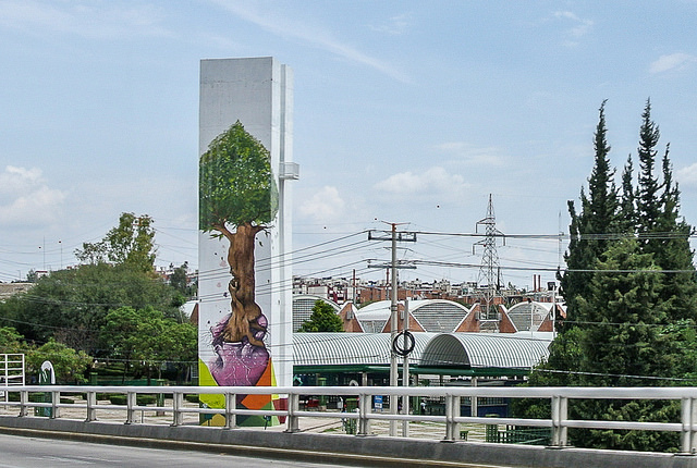 Colaboración interinstitucional entre el Tecnológico y la Smae