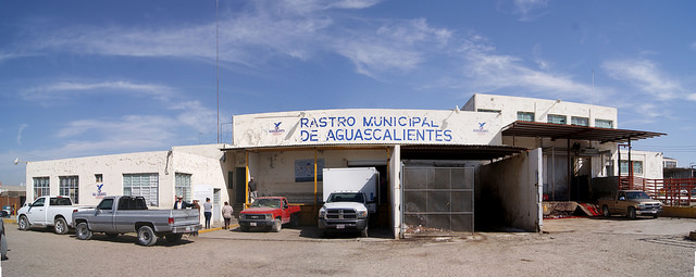 Trabas políticas detuvieron la operación de rastro municipal TIF