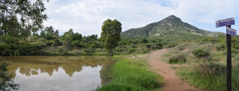 Con espacios de cultura del agua buscan favorecer al medio ambiente