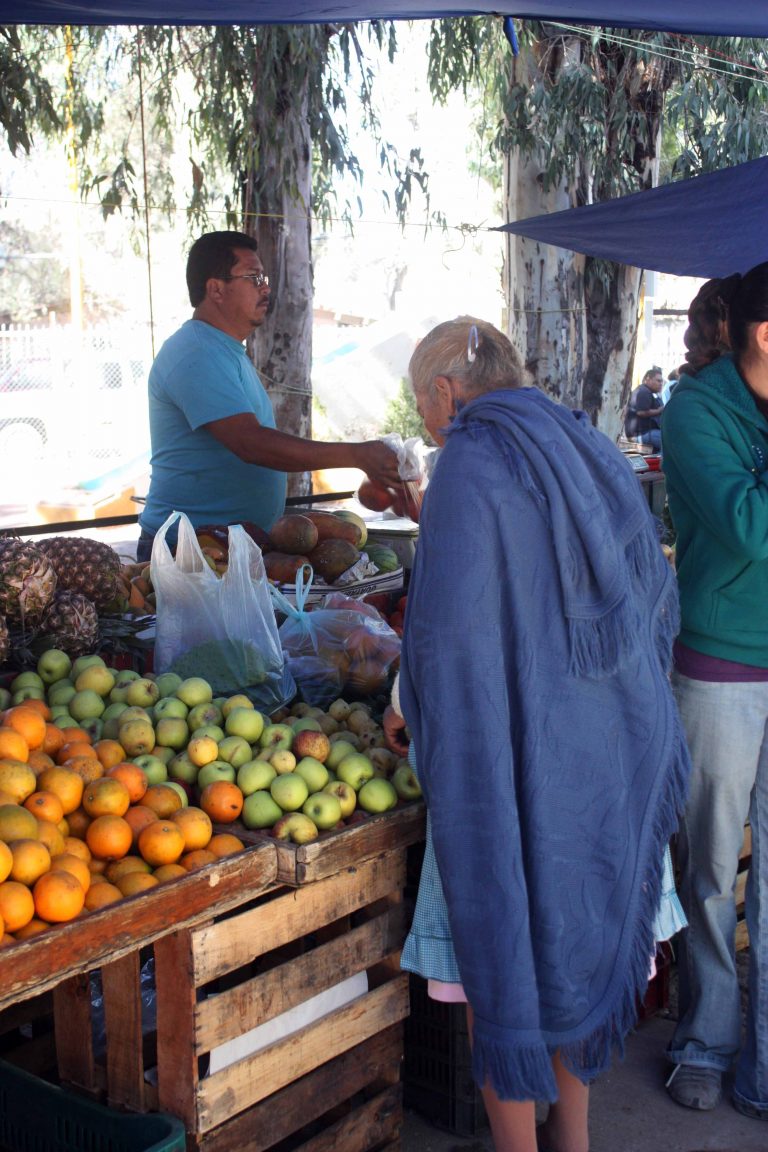 Arrastra Poder Judicial rezago en juicios de pensión alimenticia