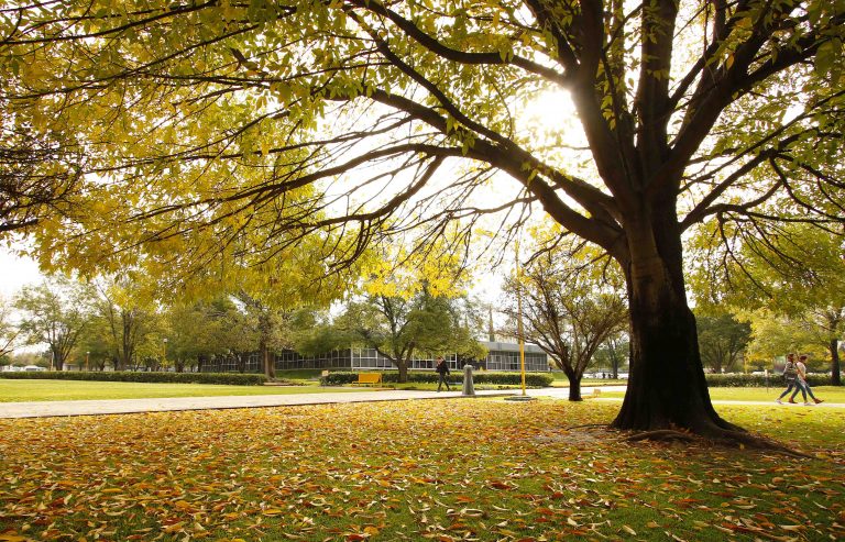 Dan conocer mecanismos para conformar el Fondo de Estabilización y Contingencias de la UAA