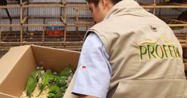 Pocas empresas en Aguascalientes están certificadas en materia ambiental