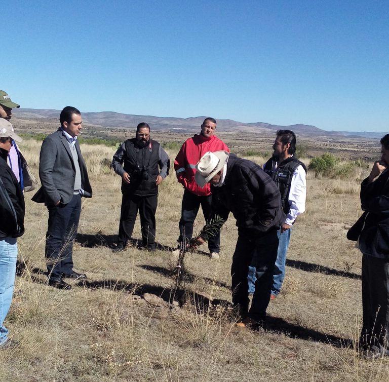 Importante, la conservación y restauración del suelo en el sector agropecuario