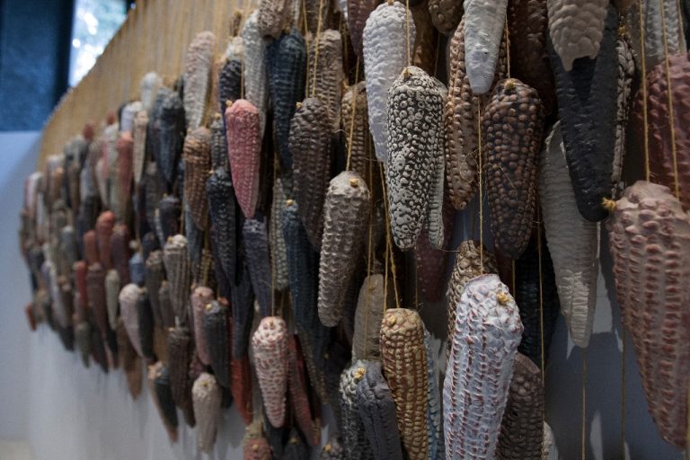 En Aguascalientes se llevó a cabo Foro de Alta Rentabilidad en Maíz