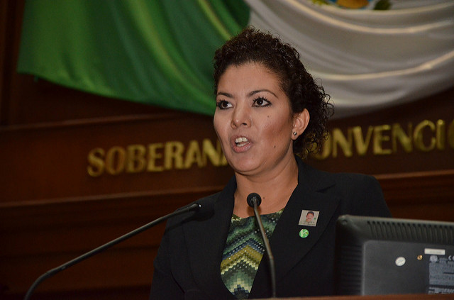 Hay falta de voluntad en el caso La Pona: PVEM