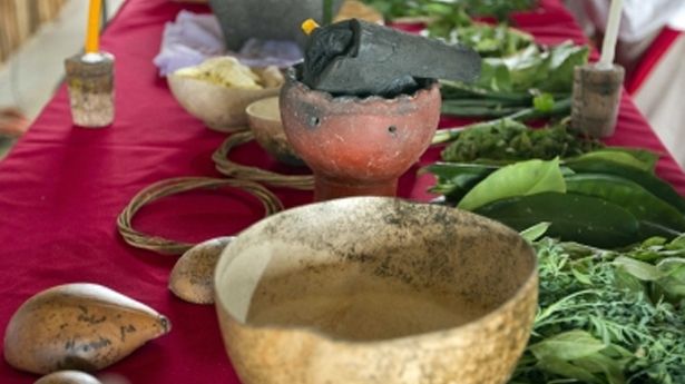 La reivindicación de la medicina tradicional maya