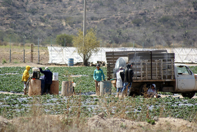 El mayor problema al que se enfrentan los agricultores de temporal es a los intermediarios