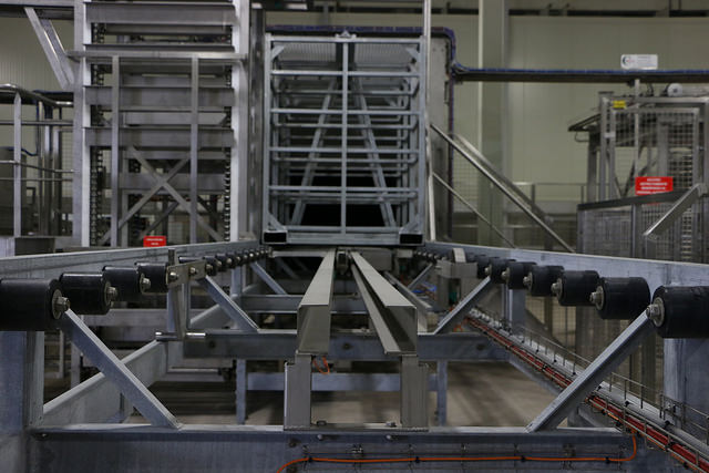 Visita a rastro porcícola