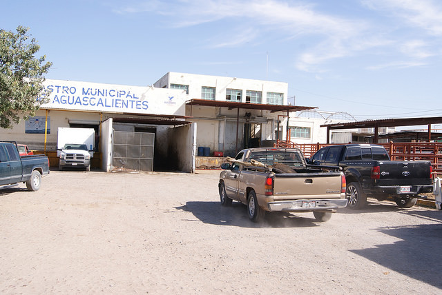 Operativo en el Rastro Municipal