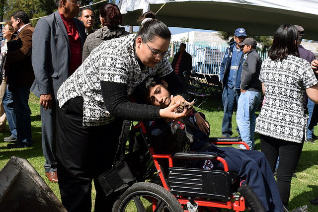 El 3.83% del municipio de Aguascalientes padece algún tipo de discapacidad