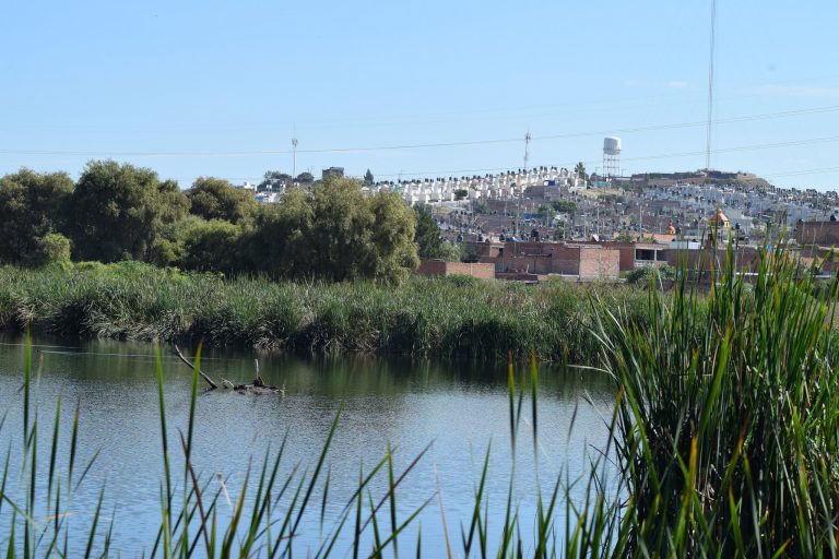 Rehabilitación del Bordo Santa Elena, una de las seis prioridades de Sedatu
