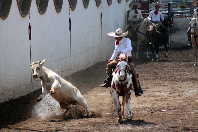 Calvillo dará impulso a la charrería