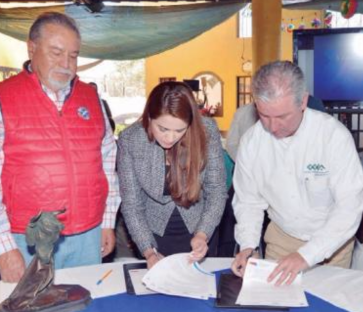 Impulsan programas que reditúen en el crecimiento económico local y la generación de empleos