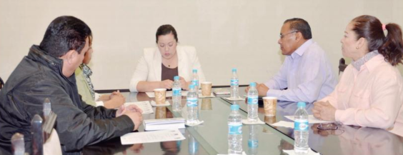 Sesiona el Comité de Gestoría y Quejas