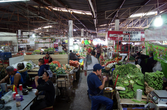 Supervisa municipio capital el Agropecuario