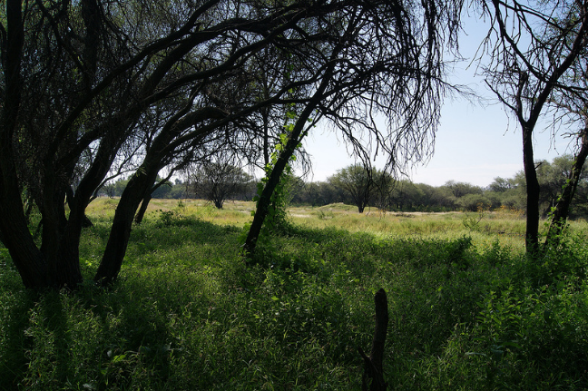 No hay solicitudes ante Semarnat para construir en La Pona