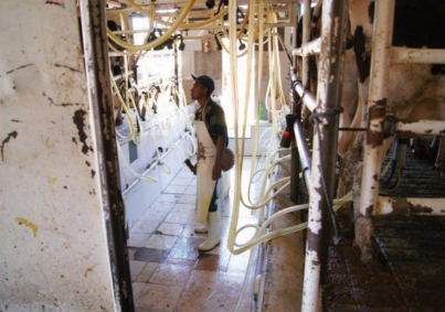 Deshidratadora de leche funcionará hasta mediados de 2018: Sedrae