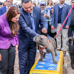 Captura de pantalla 2017-01-31 a las 07.46.27