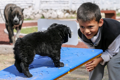 Inauguran primer Parque para Mascotas en Aguascalientes