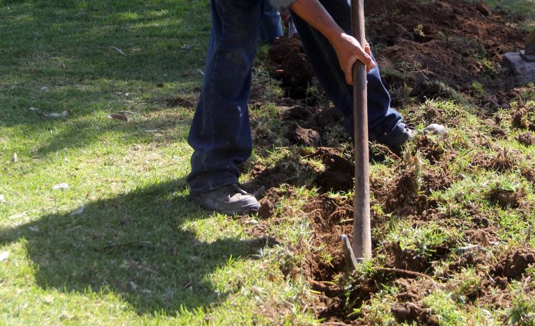 Construyen Línea Gris para la reutilización de agua en el riego de áreas verdes