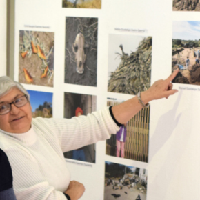 Captura de pantalla 2017-02-02 a las 01.13.24