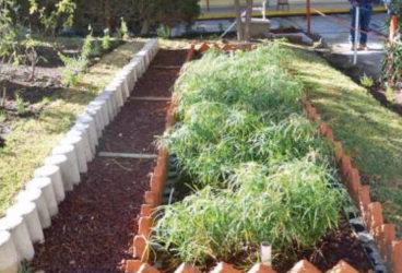 Continuará el programa Humedales en tu Escuela