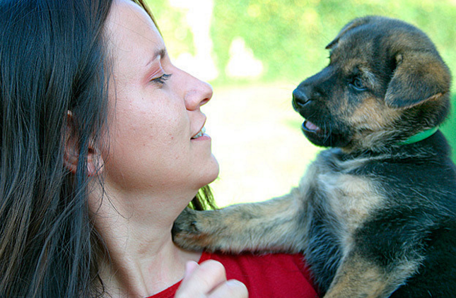 Propondrán la creación de hospitales para mascotas
