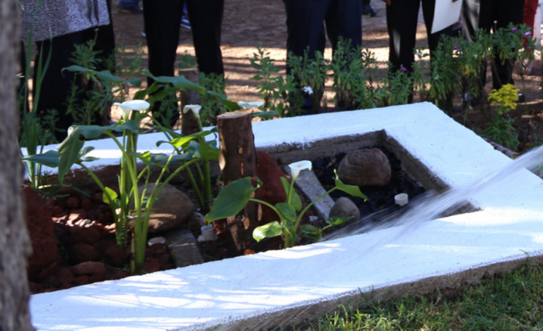 Los humedales, clave para combatir el cambio climático