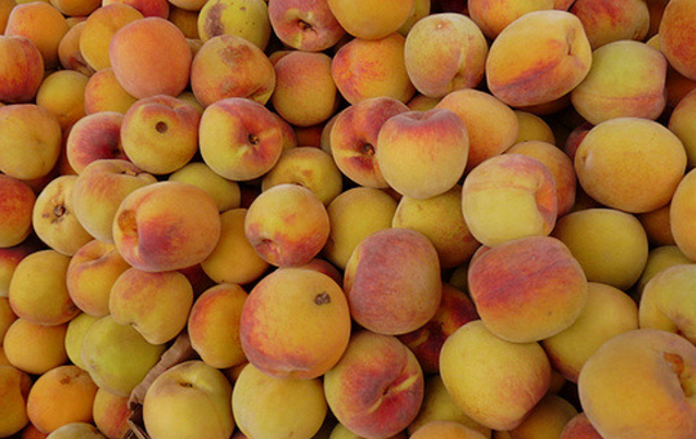 Durazno de Aguascalientes podría ser exportado, pero se queda en México