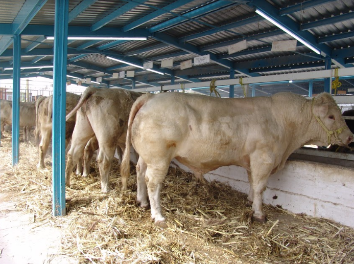 Ofrecen asesorías a productores de Calvillo para apoyos rurales