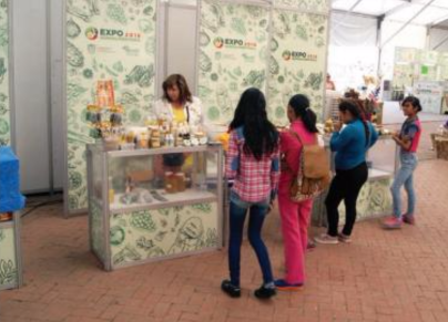 Recortan 45% al presupuesto a Fondo Nacional del Emprendedor