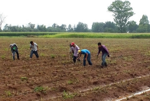 Alto costo de los predios podría ser un freno para el éxito de la Agrósfera