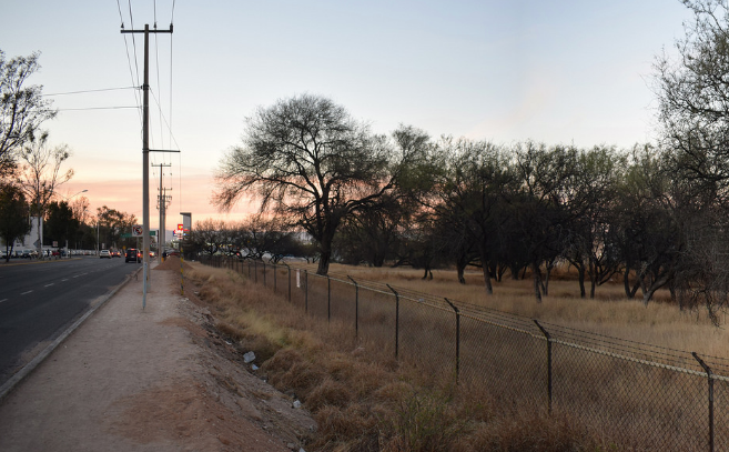 Amarrado de manos municipio para proteger mezquitera donde se construirá Outlet