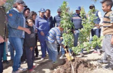 Solicitan apoyo para reforzamiento de seguridad en Cañada Grande