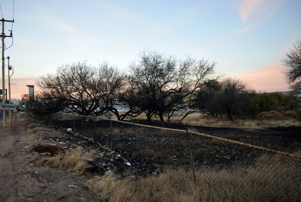 Ordena juez federal suspender la construcción de Plaza Outlet