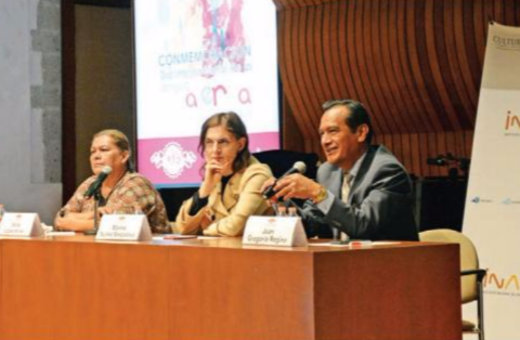 La Carta Magna ya está disponible en lenguas maternas