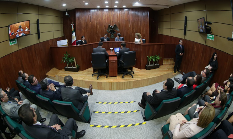 Garantiza Sala Especializada la libertad de expresión