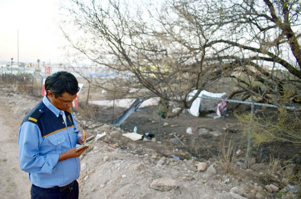 Calcula municipio que siguen en pie hasta 150 árboles en el Ejido Ojocaliente